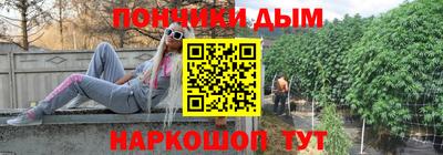 молекула духа Гагарин